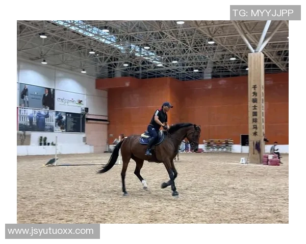 东北马联马术总决赛落位长春净月 高端赛事激活体旅交融新动能 东北马联马术总决赛落位长春净月 高端赛事激活体旅交融新动能